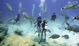 Kusadasi Scuba Diving - 1